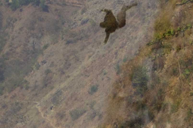 बैतडीमा भिरबाट लडेर एक महिला गम्भिर घाइते 